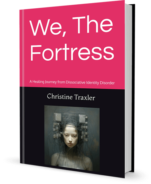 We The Fortress By Author Christine Traxler Book Cover